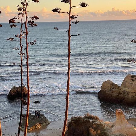 Apartamento Da Avo Te - Em Frente A Praia C Piscina Portimão Eksteriør bilde