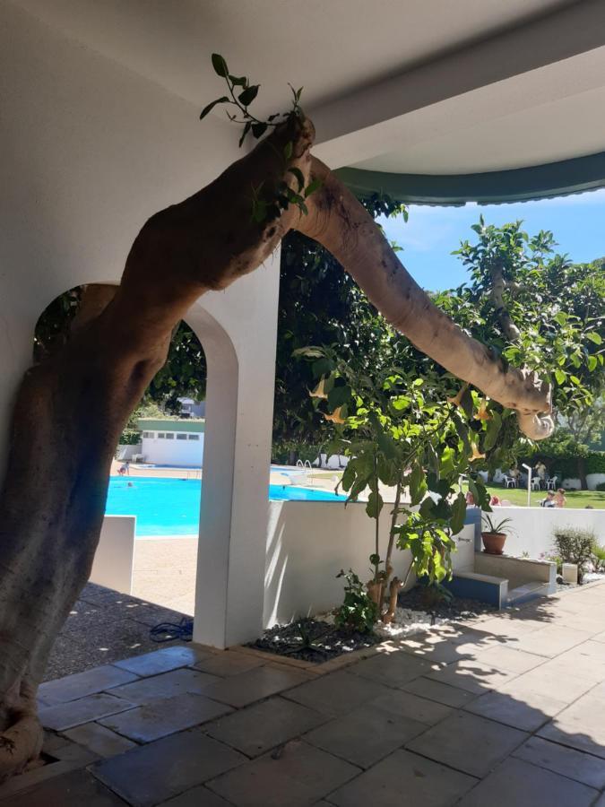 Apartamento Da Avo Te - Em Frente A Praia C Piscina Portimão Eksteriør bilde